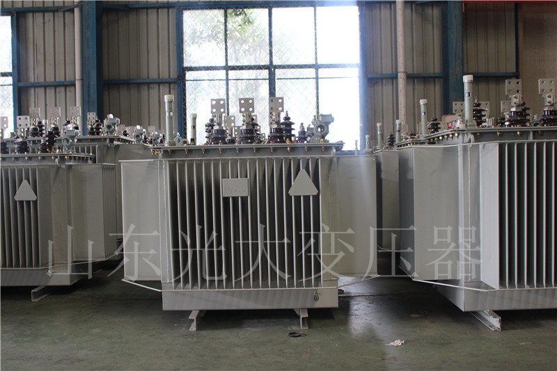 晋宁S20-500KVA/10KV